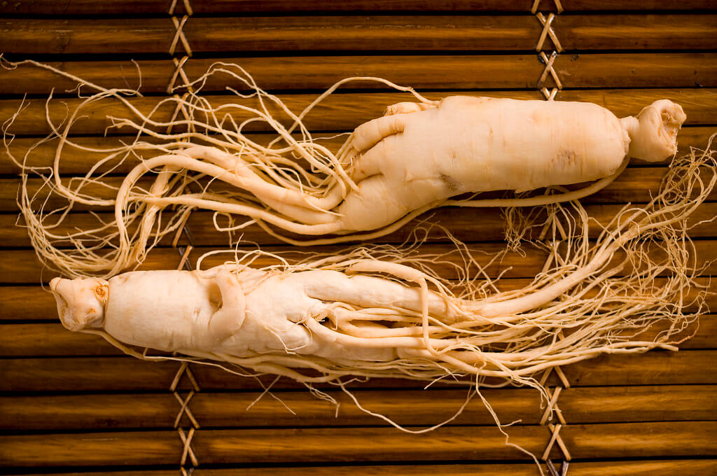 Chinese Ginseng