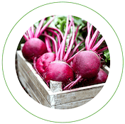 Beet-Root