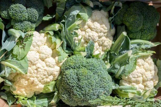 cauliflower