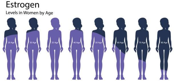 Estrogen-Level-by-Age