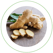 Ginger-Root