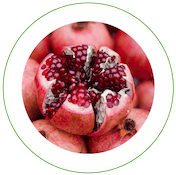 Pomegranate