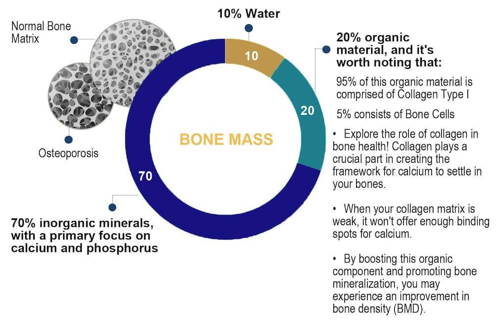 Bone-Mass