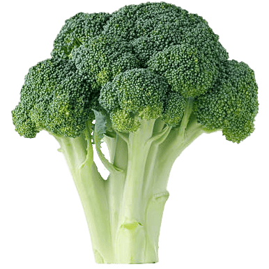 Brocolli