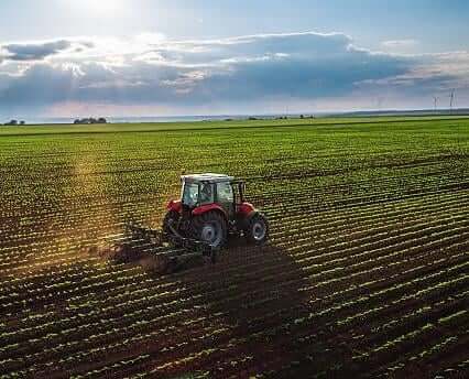 Farm