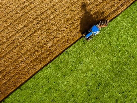 Farm