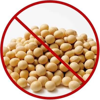 Soy